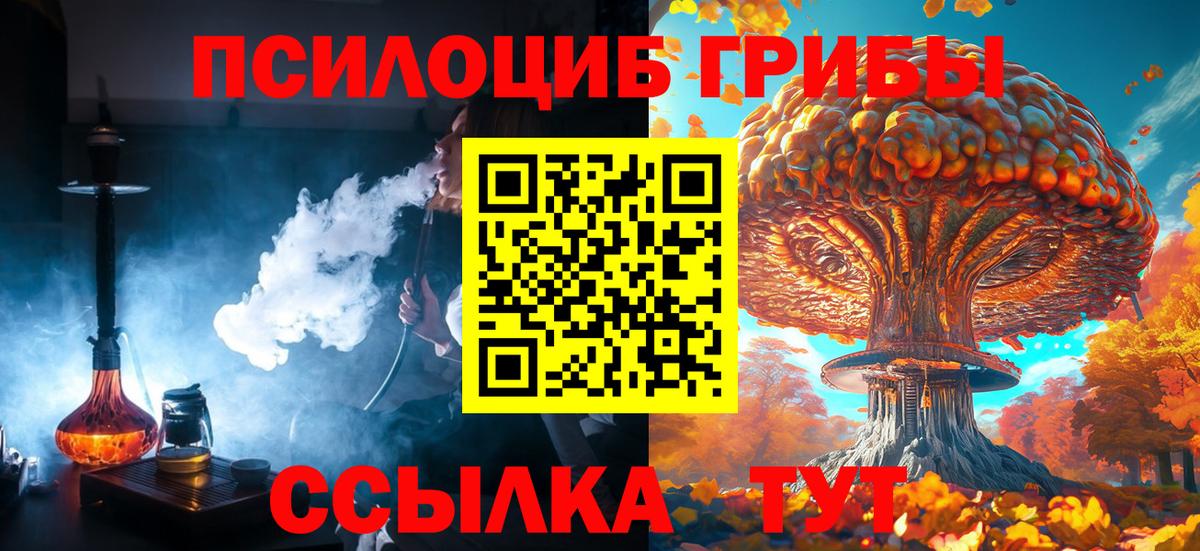 Псилоцибиновые грибы GOLDEN TEACHER  Вход с VPN  Конаково 